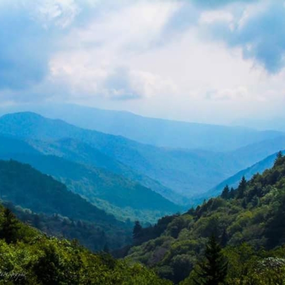 Meet your Posher, Shawne - Picture 15 of 16